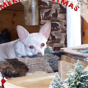 Meet your Posher, Cheryl